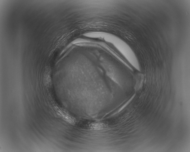 X0000052570408200507221507