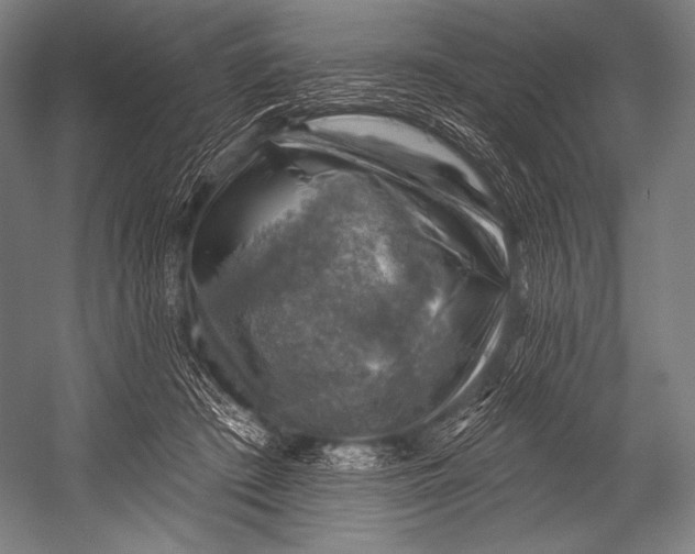 X0000052570409200507221507