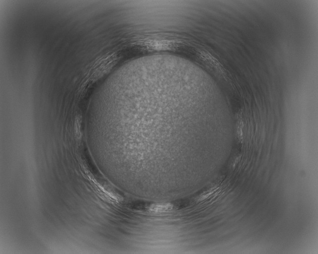 X0000052570410200507221507