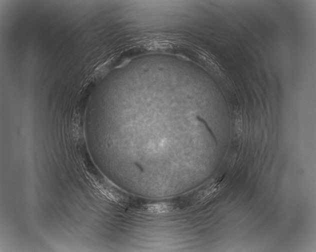 X0000052570411200507221507