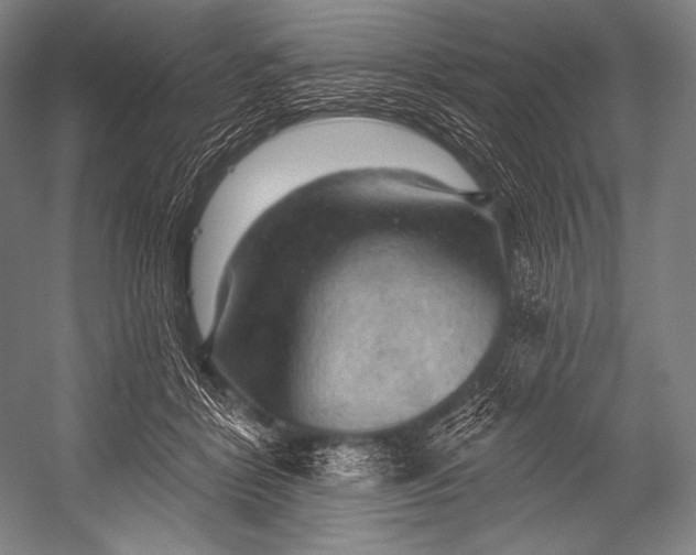 X0000052570412200507221507