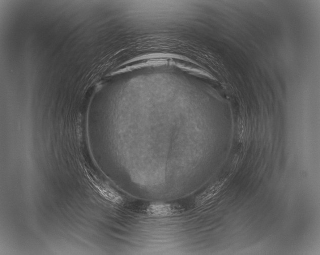 X0000052570413200507221507