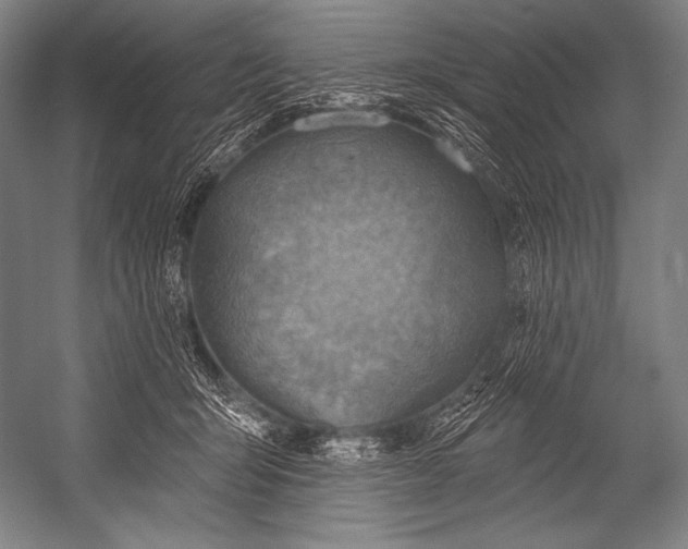 X0000052570415200507221507