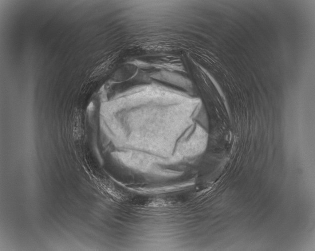 X0000052570416200507221507