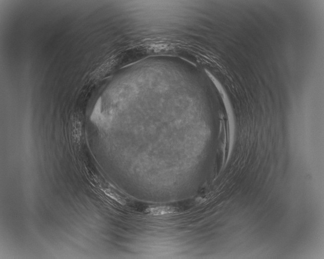 X0000052570417200507221507