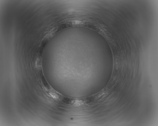 X0000052570419200507221507