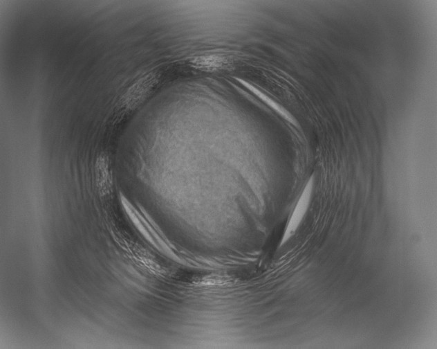 X0000052570420200507221507