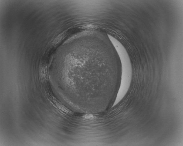 X0000052570425200507221507