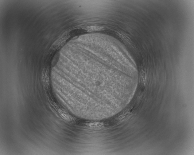 X0000052570426200507221507