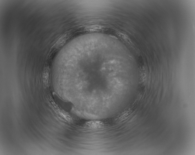 X0000052570427200507221507