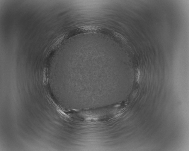 X0000052570428200507221507