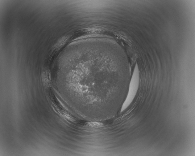 X0000052570429200507221507