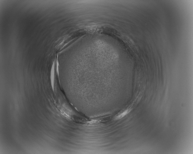 X0000052570432200507221507