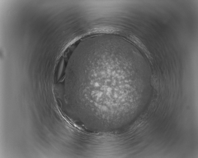 X0000052570434200507221506