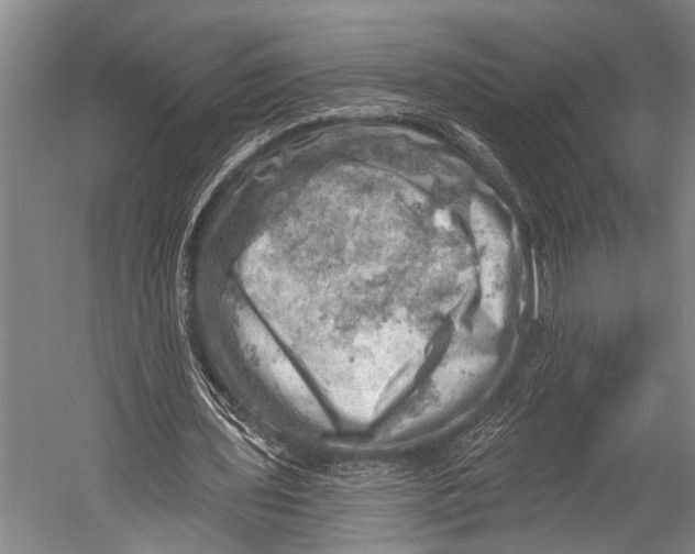 X0000052570435200507221506