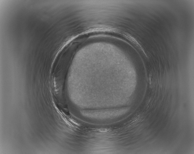 X0000052570436200507221506