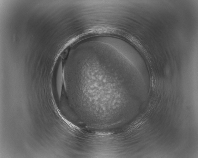 X0000052570438200507221506