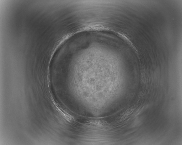 X0000052570439200507221506