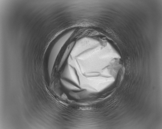 X0000052570440200507221506