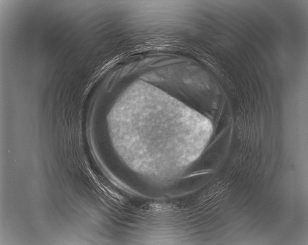 X0000052570442200507221506