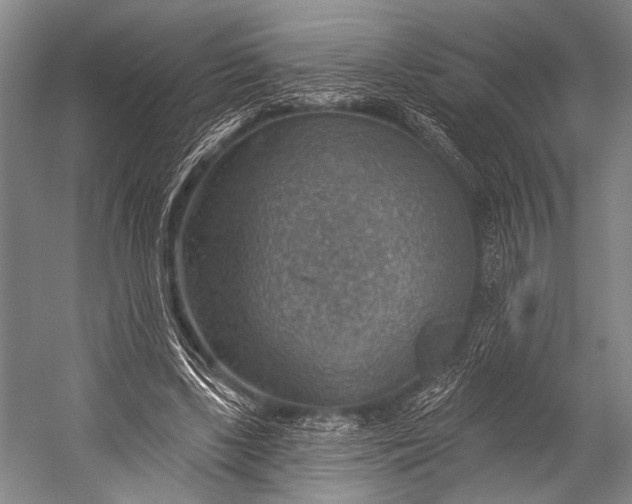 X0000052570443200507221506