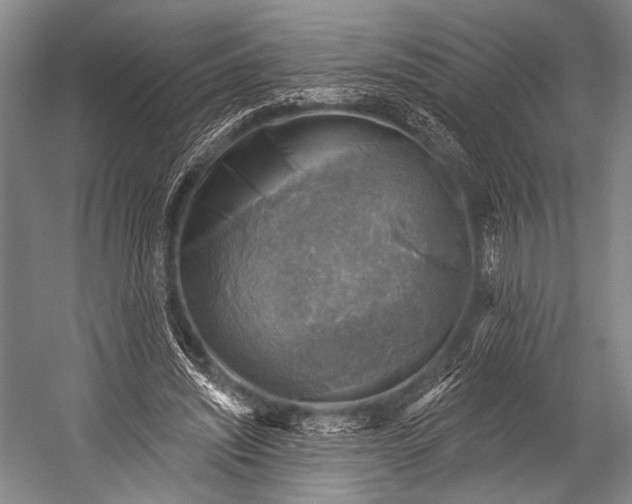 X0000052570444200507221506