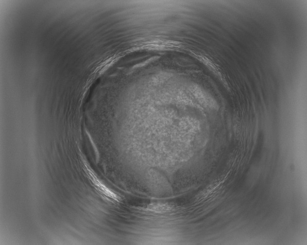 X0000052570445200507221506