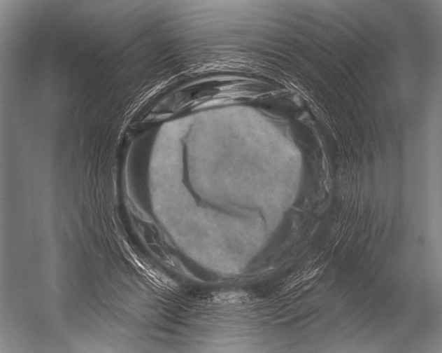 X0000052570446200507221506