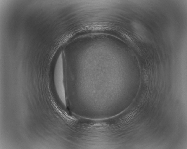 X0000052570447200507221506