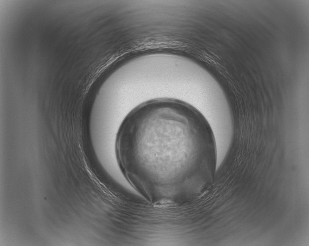 X0000052570448200507221506