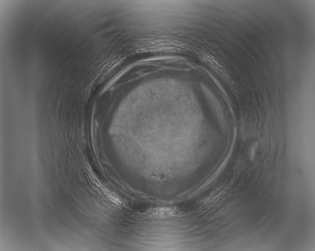 X0000052570449200507221506