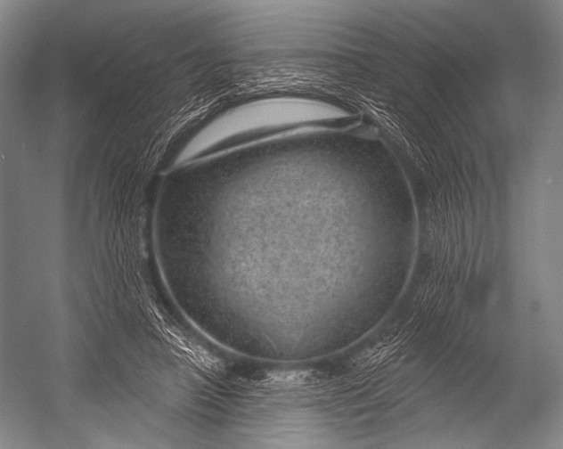 X0000052570450200507221506