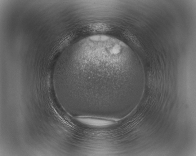 X0000052570451200507221506