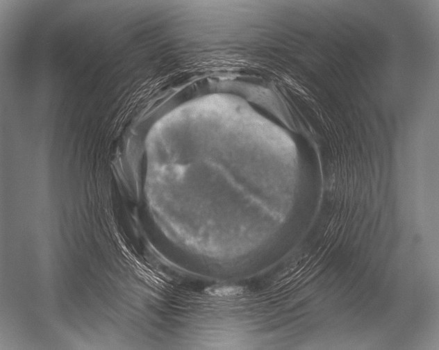 X0000052570452200507221506