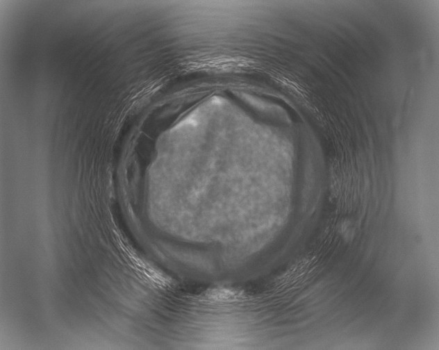 X0000052570453200507221506