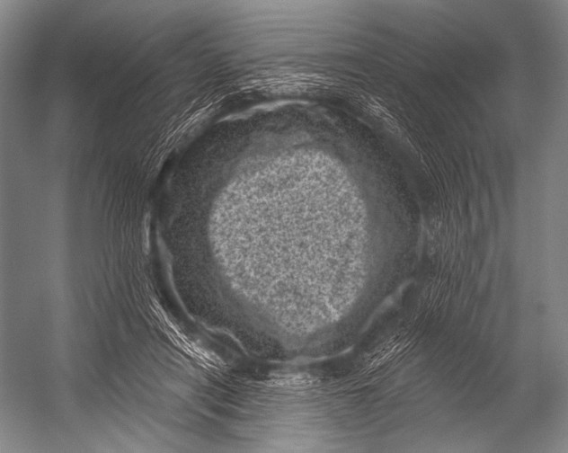 X0000052570454200507221506