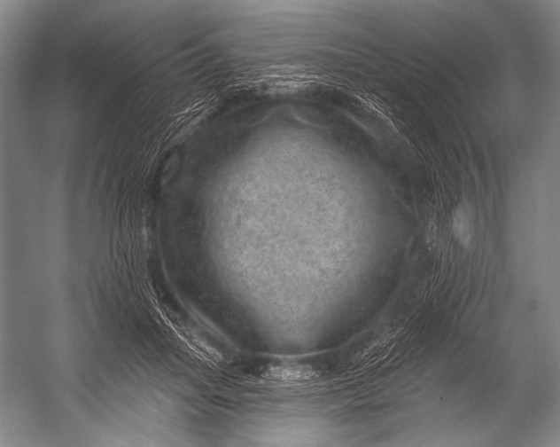 X0000052570455200507221506