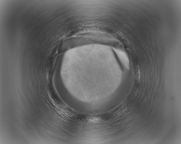 X0000052570456200507221506