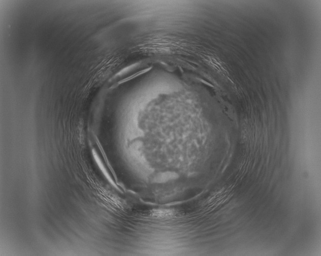 X0000052570457200507221506