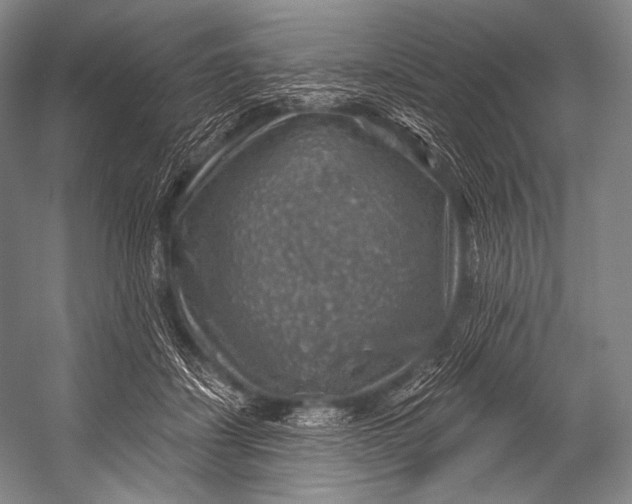 X0000052570459200507221506