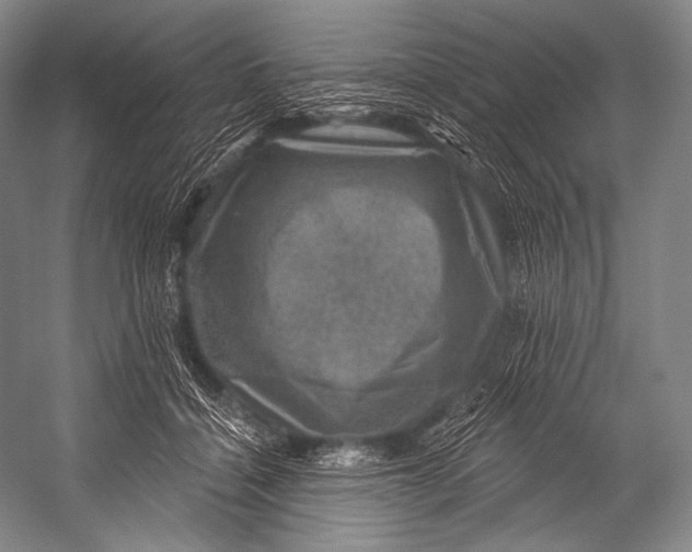 X0000052570460200507221506