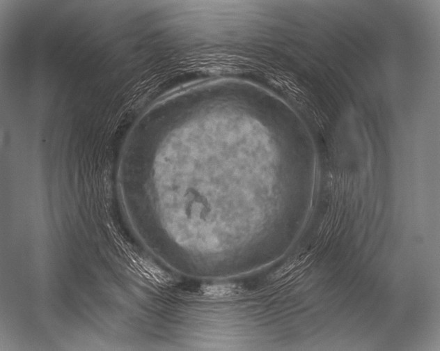 X0000052570461200507221506