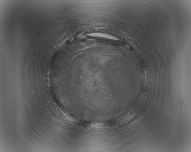 X0000052570462200507221506