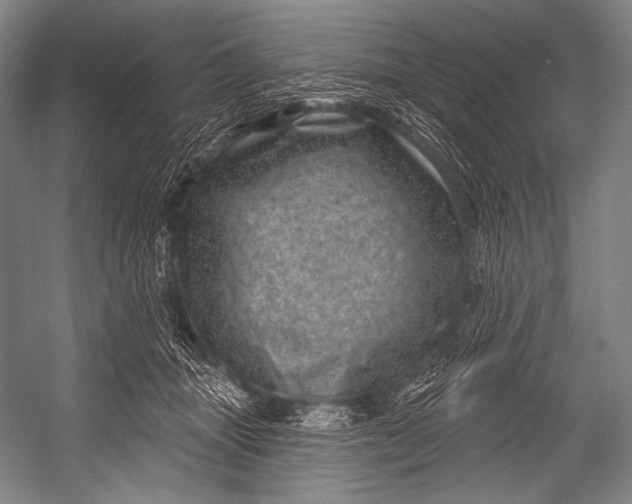 X0000052570463200507221506