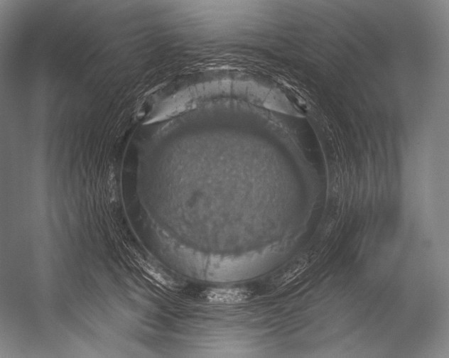 X0000052570465200507221506