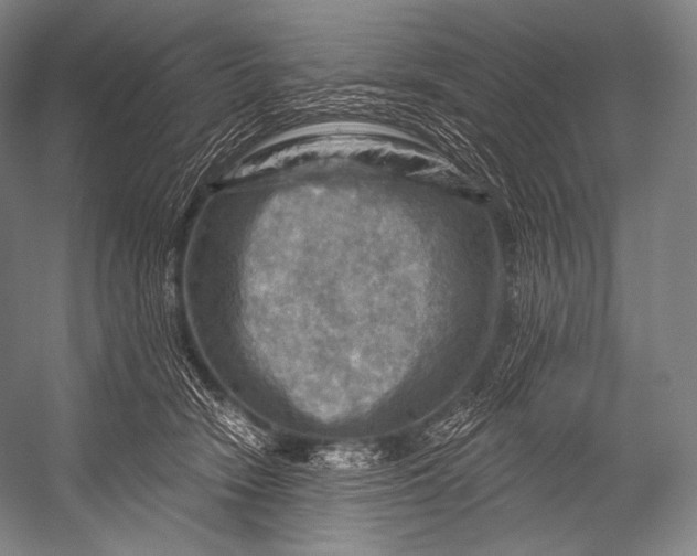 X0000052570466200507221506