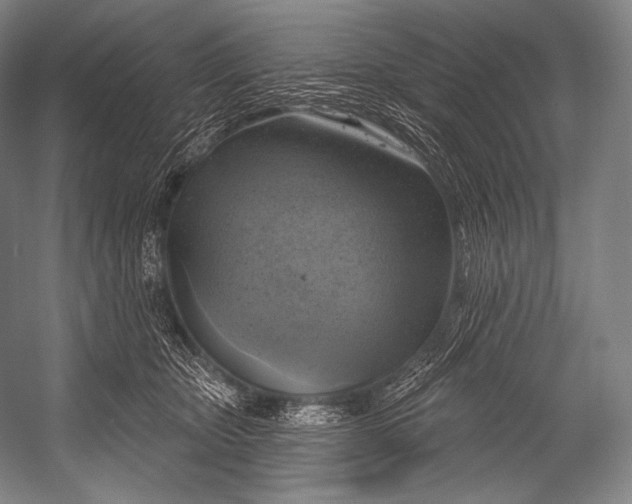 X0000052570467200507221506