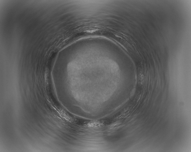 X0000052570468200507221507