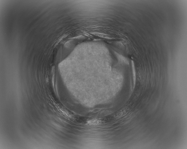 X0000052570470200507221507