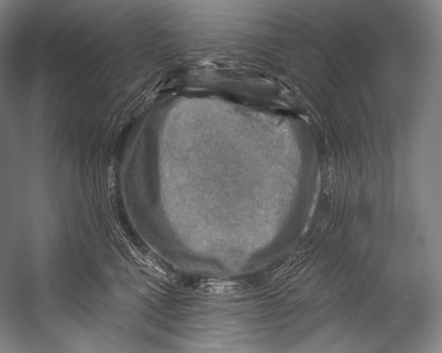 X0000052570472200507221507